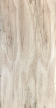 PLYWOOD - Lumin Eucalyptus Hardwood Ply BB 8x4x18mm