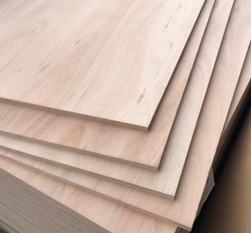 PLYWOOD - Lumin Eucalyptus Hardwood Ply BB 8x4x18mm