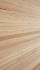 PLYWOOD - Birch Ply Ext BB-CP 3050x1220x18mm