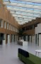 LOSAN BENELUX - Hotán® Harmony Acoustic Panel - Oak 3M