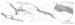ALLOY SPLASHBACKS - White Marble Shell