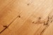 HKS ECONOMY - Engineered Wood Flooring - Oak - Noyeks