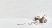 HANEX SOLID SURFACES CASCADE - CC-007 Cascade Cloud