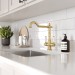 EIRLINE - Alma Traditional Dual Lever Kitchen Tap Brushed Brass