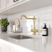 EIRLINE - Alma Traditional Dual Lever Kitchen Tap Brushed Brass