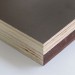 PLYWOOD - Film Faced Ply 2440x1220x18mm